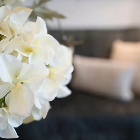 Sol Mare Baltic-stern *