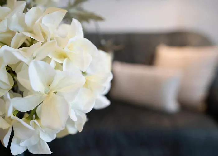 Sol Mare Baltic-stern *